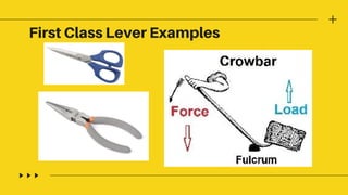 First Class Lever Examples
 