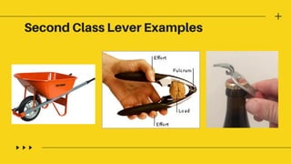 Second Class Lever Examples
 