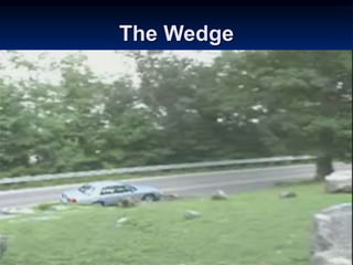 The Wedge
 