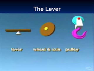 The Lever
 