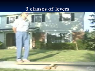 3 classes of levers
 