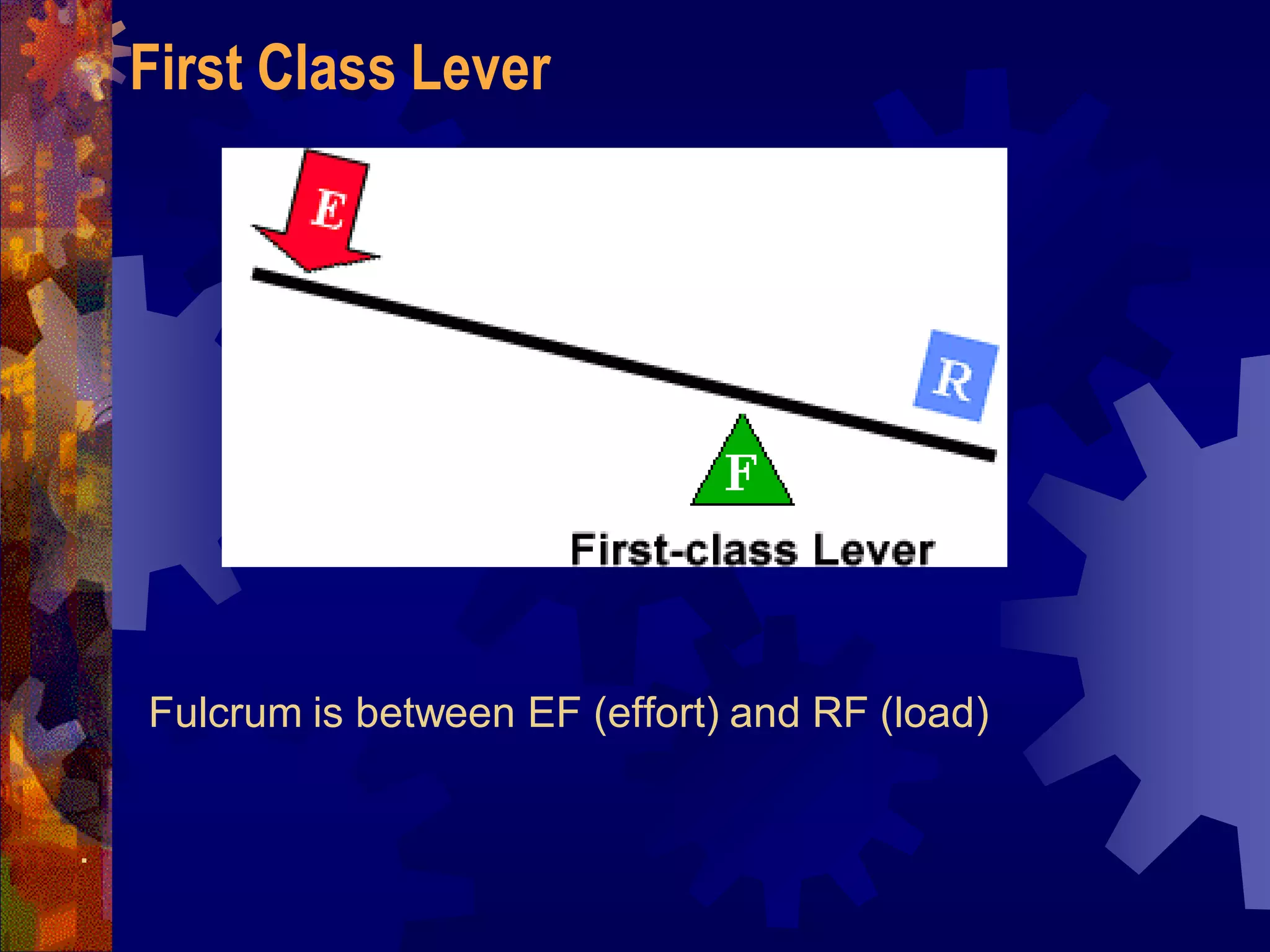 Fulcrum is between EF (effort) and RF (load)
.
First Class Lever
 
