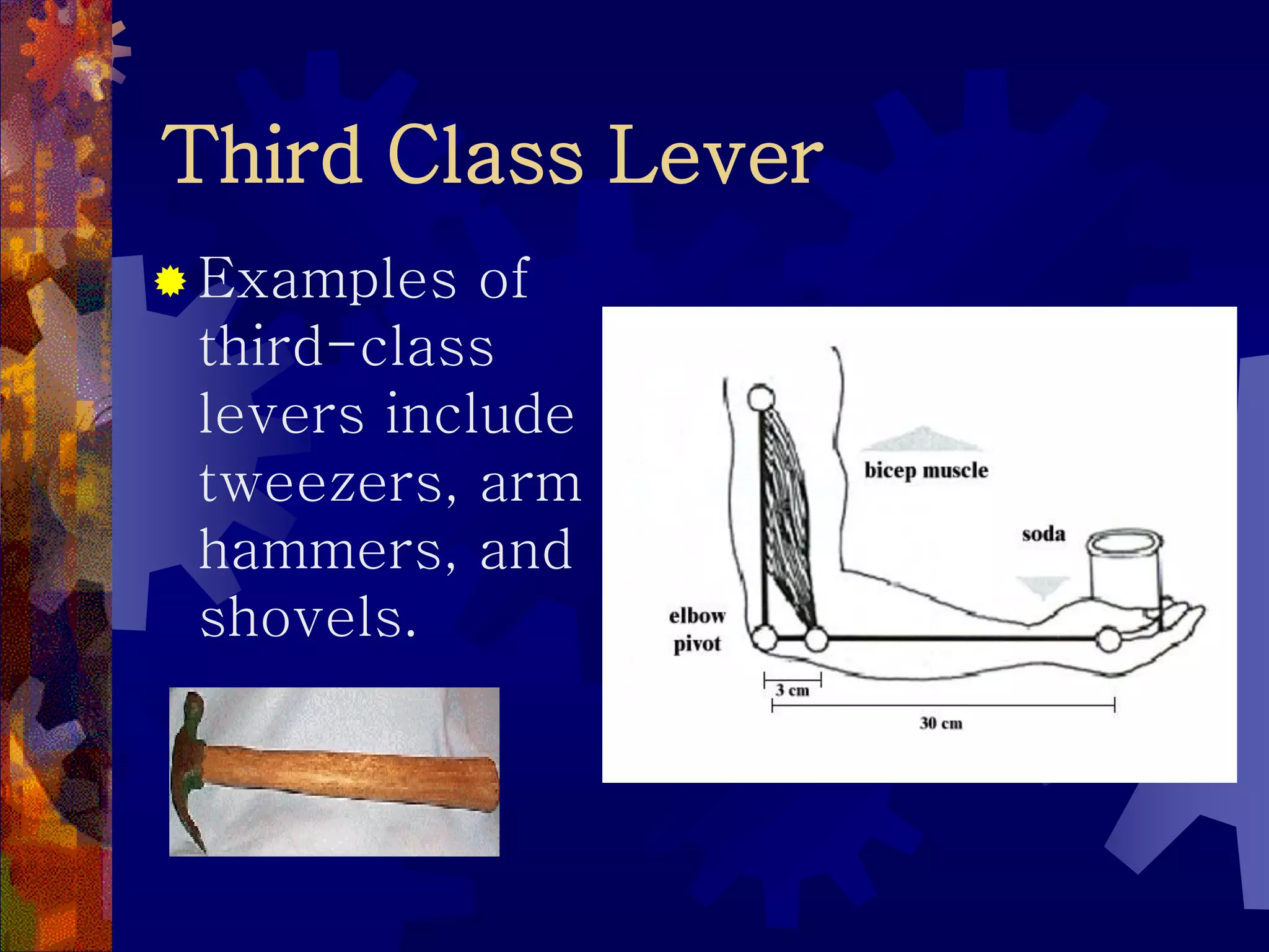Third Class Lever
 Examples of
third-class
levers include
tweezers, arm
hammers, and
shovels.
 