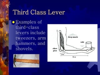 Third Class Lever
 Examples of
third-class
levers include
tweezers, arm
hammers, and
shovels.
 