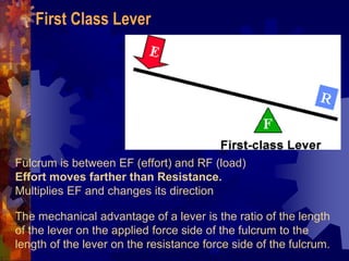 Fulcrum is between EF (effort) and RF (load)
Effort moves farther than Resistance.
Multiplies EF and changes its direction
The mechanical advantage of a lever is the ratio of the length
of the lever on the applied force side of the fulcrum to the
length of the lever on the resistance force side of the fulcrum.
First Class Lever
 