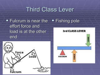 Third Class Lever
 Fulcrum is near the
effort force and
load is at the other
end
 Fishing pole
 