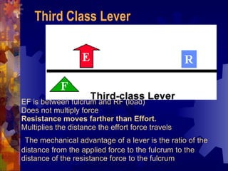 EF is between fulcrum and RF (load)  Does not multiply force  Resistance moves farther than Effort.   Multiplies the distance the effort force travels   The mechanical advantage of a lever is the ratio of the distance from the applied force to the fulcrum to the distance of the resistance force to the fulcrum Third Class Lever 