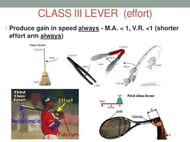 simple machines levers