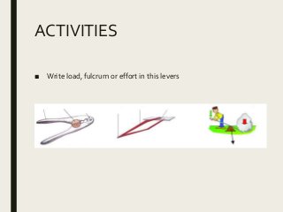 ACTIVITIES
■ Write load, fulcrum or effort in this levers
 