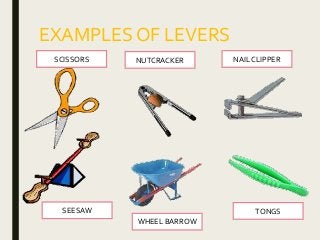EXAMPLES OF LEVERS
SCISSORS NUTCRACKER NAIL CLIPPER
SEESAW
WHEEL BARROW
TONGS
 