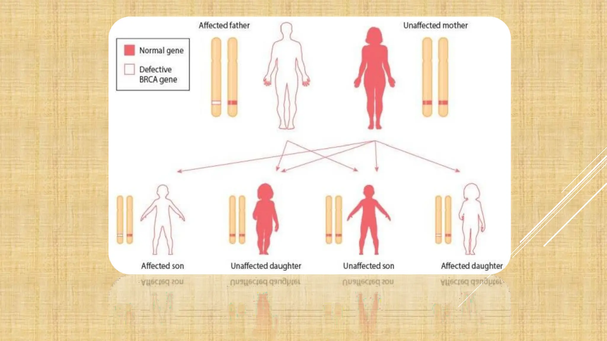 SIMPLE MENDELIAN TRAITS & SYNDROMS IN MAN.pdf