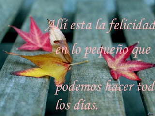 Allí esta la felicidad, en lo pequeño que podemos hacer todos los días.