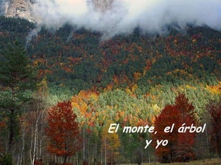 El monte, el árbol
      y yo
 