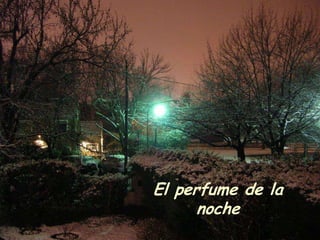El perfume de la
      noche
 
