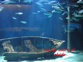 La luz sobre el
     olvido
 