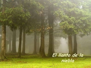 El llanto de la
     niebla
 