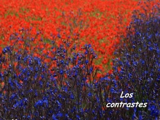 Los
contrastes
 