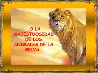 …O LA
MAJESTUOSIDAD
    DE LOS
ANIMALES DE LA
    SELVA…
 