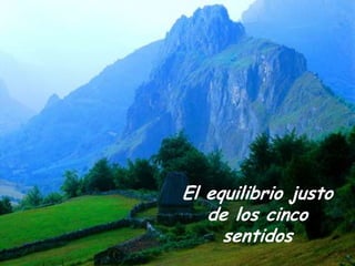 El equilibrio justo
   de los cinco
     sentidos
 