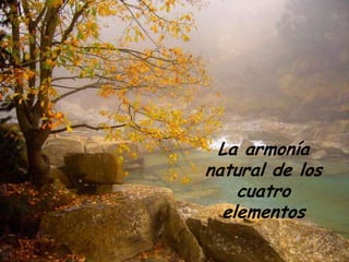 La armonía
natural de los
    cuatro
  elementos
 