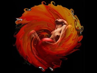 Simplement Magnifique