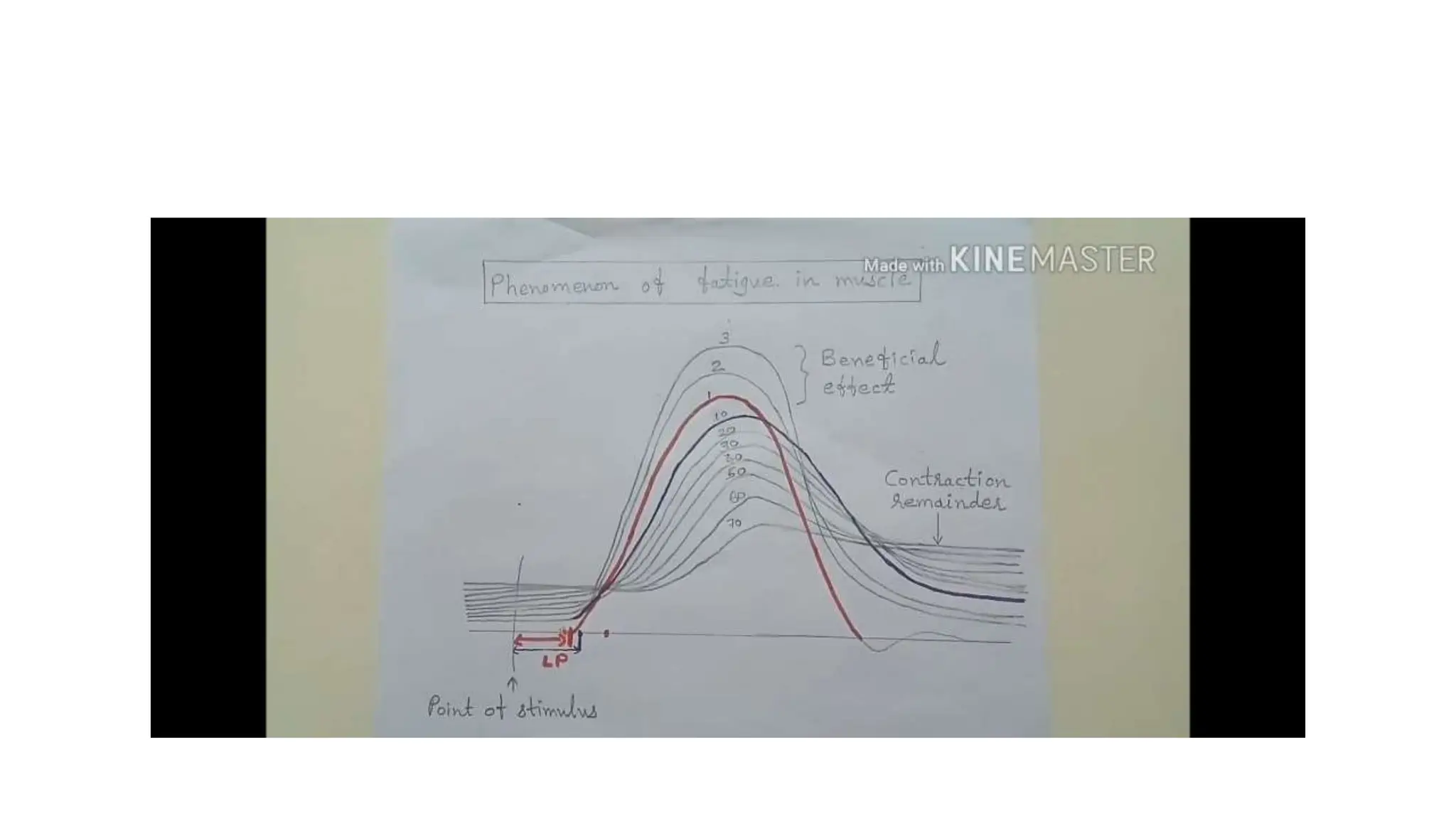 simple muscle twitch Practical guide to identify muscle twitch