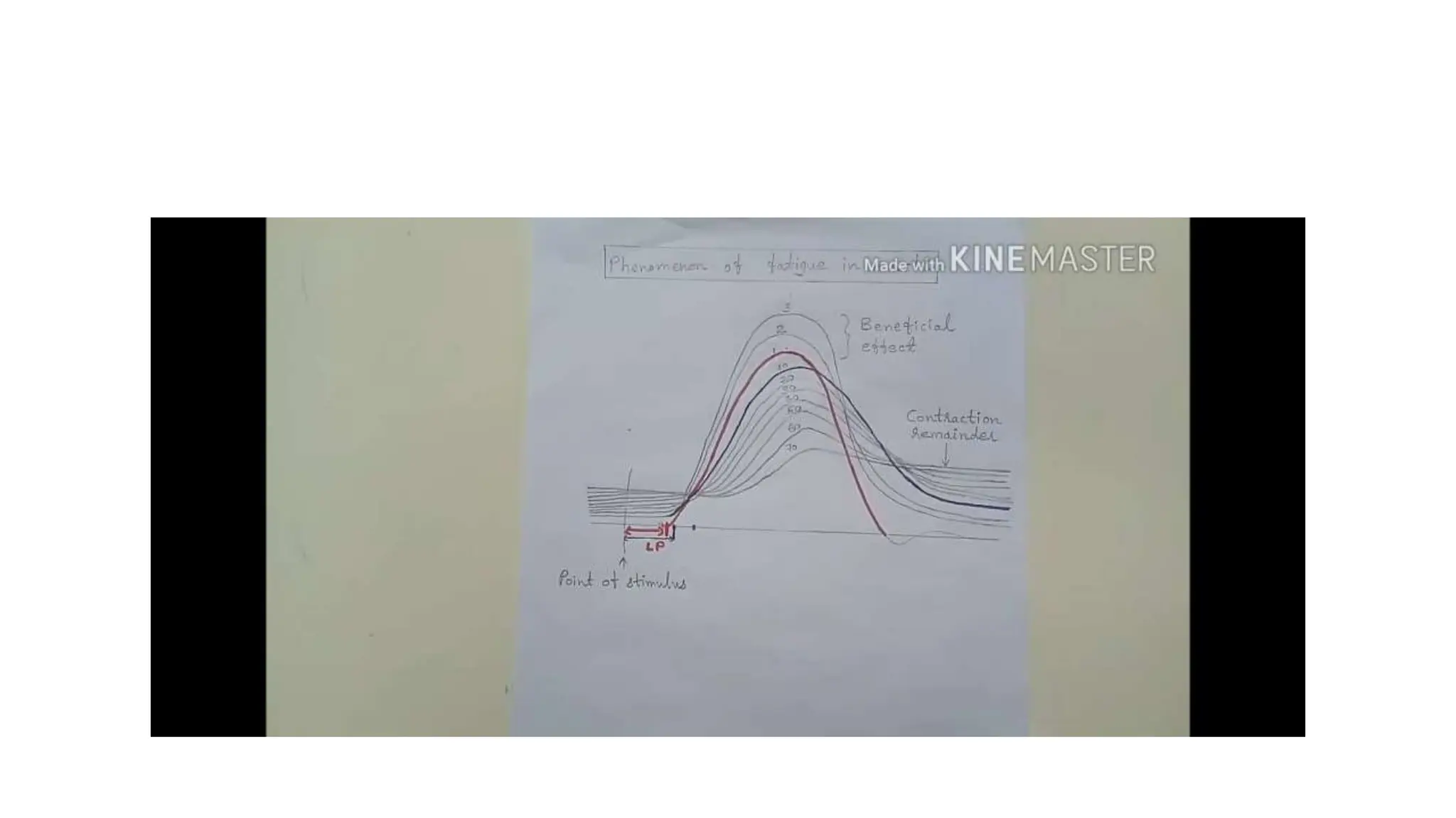 simple muscle twitch Practical guide to identify muscle twitch