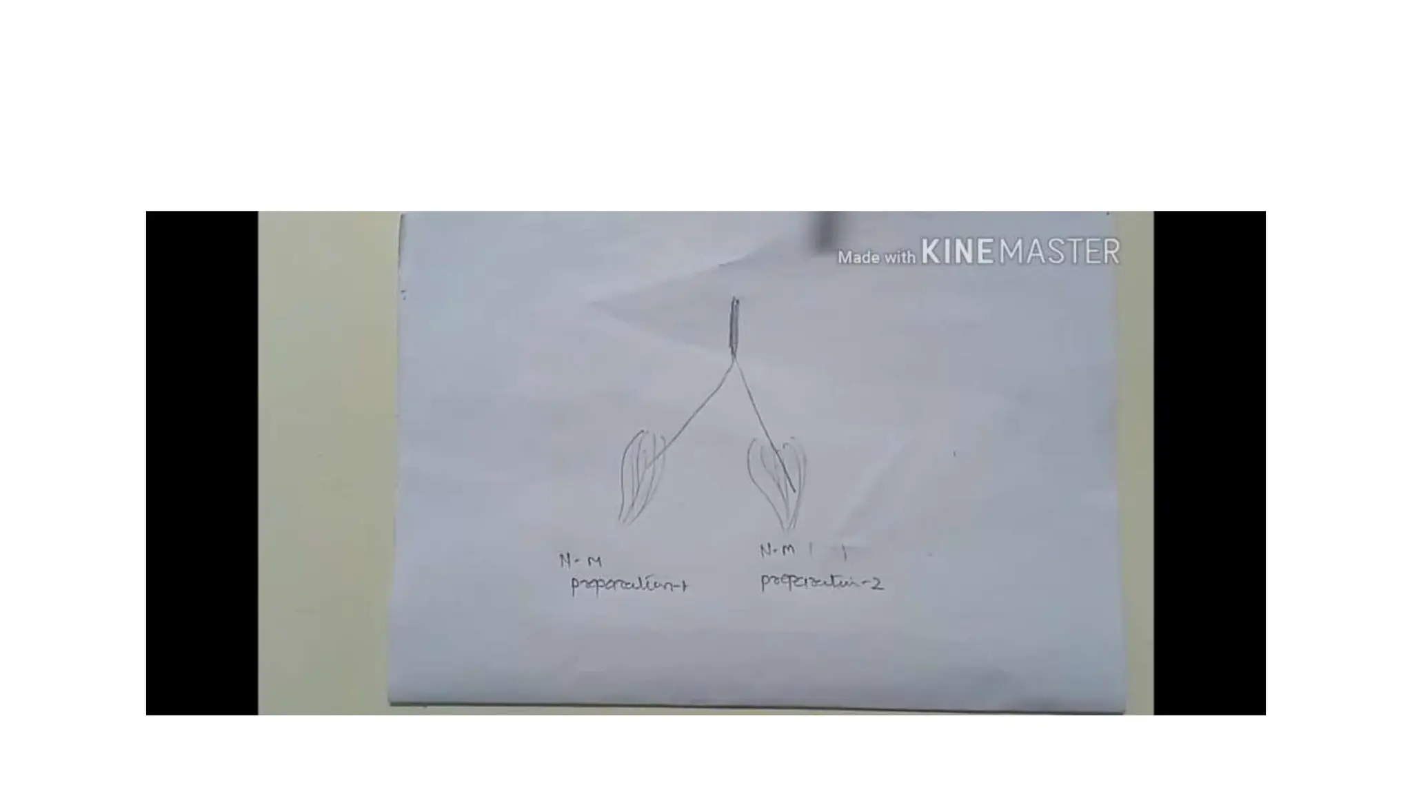 simple muscle twitch Practical guide to identify muscle twitch