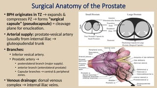Comprehensive Guide to Simple Open Prostatectomy and Bladder ...