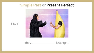 They _______________ last night.
Simple Past or Present Perfect
FIGHT
 