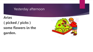 Yesterday afternoon
Aries
( picked / picks )
some flowers in the
garden.
 