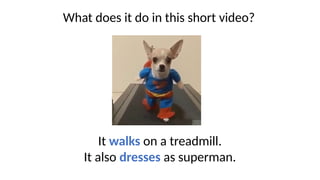 What does it do in this short video?
It walks on a treadmill.
It also dresses as superman.
 