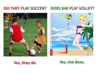 DO THEY PLAY SOCCER? DOES SHE PLAY VOLLEY?

Yes, they do.

Yes, she does.

 