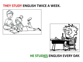 THEY STUDY ENGLISH TWICE A WEEK.

HE STUDIES ENGLISH EVERY DAY.

 