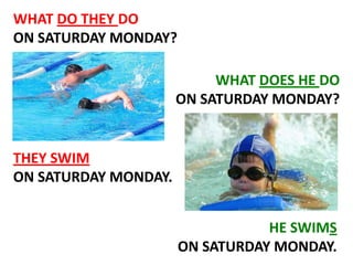WHAT DO THEY DO
ON SATURDAY MONDAY?
WHAT DOES HE DO
ON SATURDAY MONDAY?

THEY SWIM
ON SATURDAY MONDAY.
HE SWIMS
ON SATURDAY MONDAY.

 