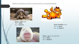 Does it walk fast?
Yes, it does.
No, it doesn’t.
Does it go to the dentist?
Yes, it does.
No, it doesn’t.
Does Garfield work?
Yes, he does.
No, he doesn’t.
Observa la diferencia entre un animal común y uno personificado…
 