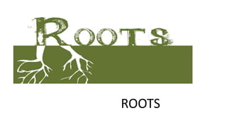 ROOTS
 