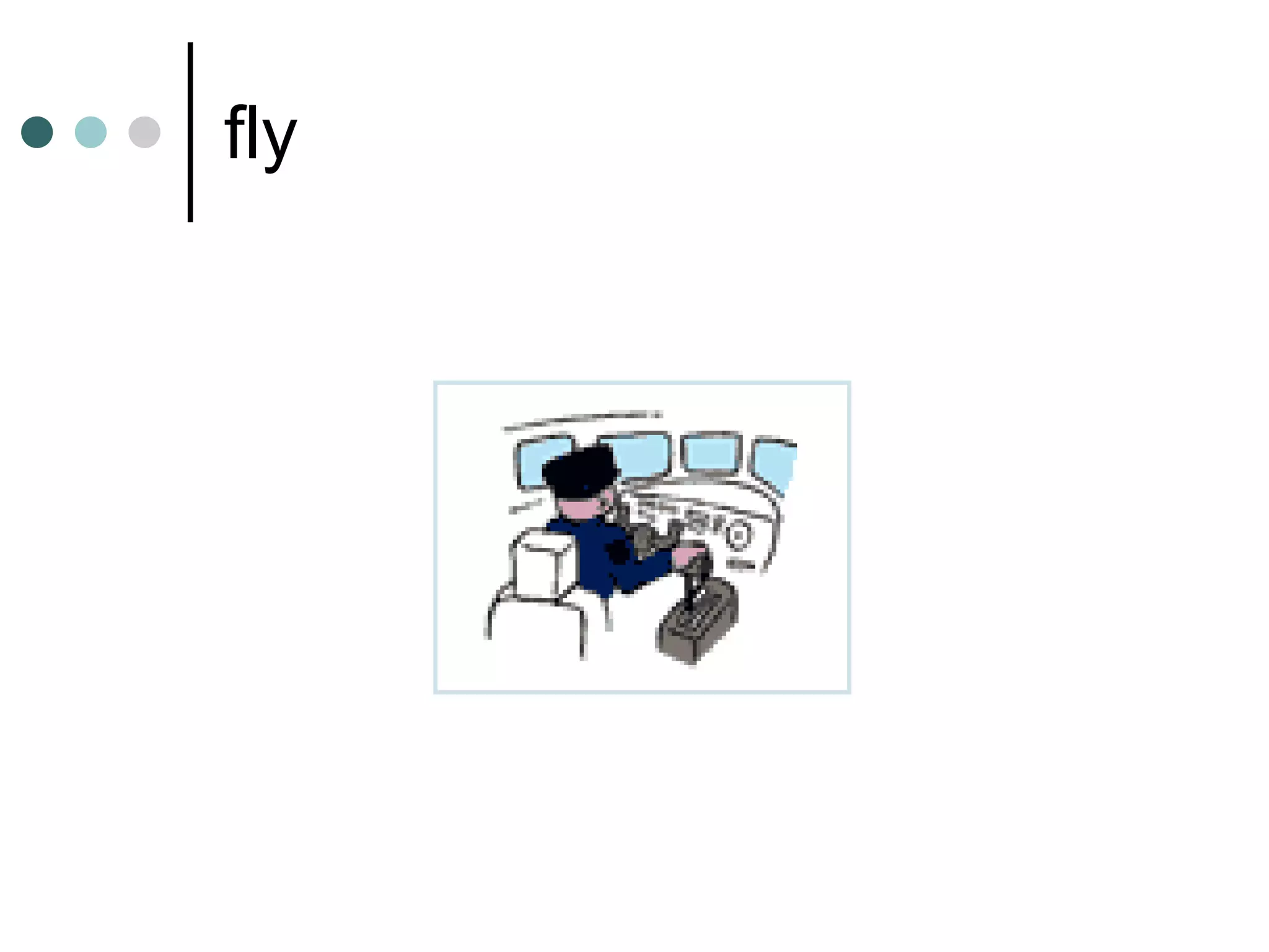 fly 