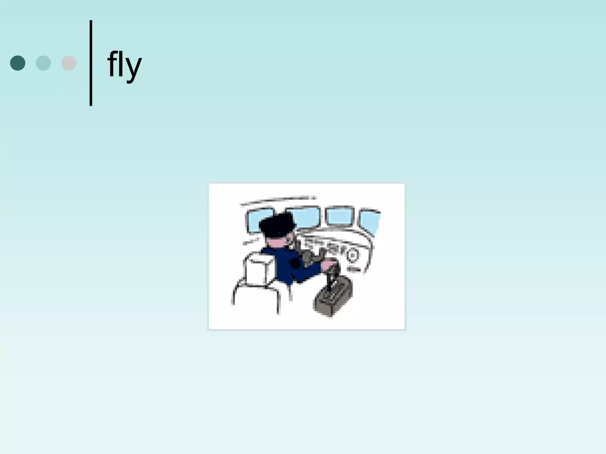 fly
 