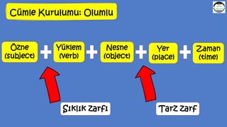 Cümle Kurulumu: Olumlu
Özne
(subject)
Yüklem
(verb)
Yer
(place)
Zaman
(time)
Nesne
(object)
Sıklık zarfı Tarz zarf
 