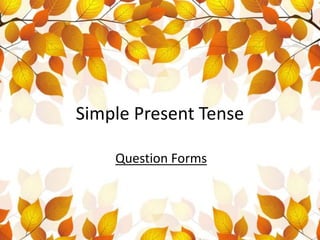 Simple Present Tense
Question Forms
 