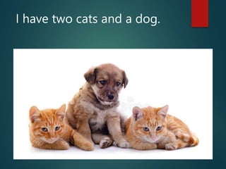 I have two cats and a dog.
 