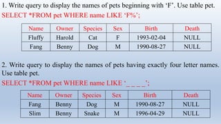 Simple Queriebhjjnhhbbbbnnnnjjs In SQL.pdf