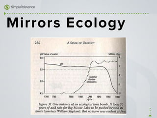 Mirrors Ecology
 