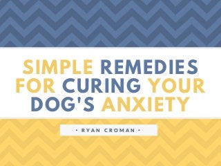 SIMPLE REMEDIES
FOR CURING YOUR
DOG'S ANXIETY
ᐧ R Y A N C R O M A N ᐧ
 