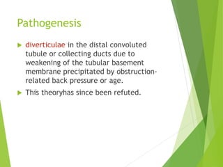 Pathogenesis
 diverticulae in the distal convoluted
tubule or collecting ducts due to
weakening of the tubular basement
membrane precipitated by obstruction-
related back pressure or age.
 This theoryhas since been refuted.
 