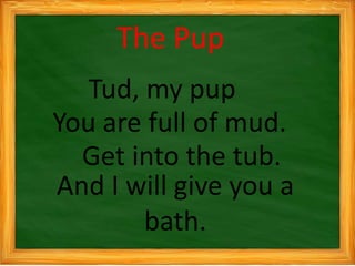 The Pup
Tud, my pup
You are full of mud.
Get into the tub.
And I will give you a
bath.
 