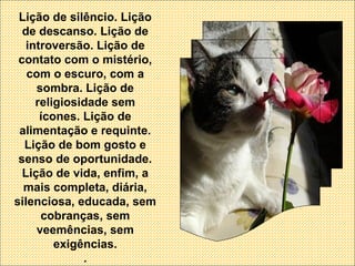 Lição de silêncio. Lição de descanso. Lição de introversão. Lição de contato com o mistério, com o escuro, com a sombra. Lição de religiosidade sem ícones. Lição de alimentação e requinte. Lição de bom gosto e senso de oportunidade. Lição de vida, enfim, a mais completa, diária, silenciosa, educada, sem cobranças, sem veemências, sem exigências. . 