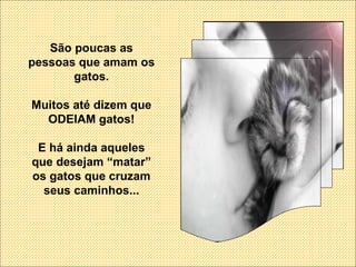 São poucas as pessoas que amam os gatos. Muitos até dizem que ODEIAM gatos! E há ainda aqueles que desejam “matar” os gatos que cruzam seus caminhos... 