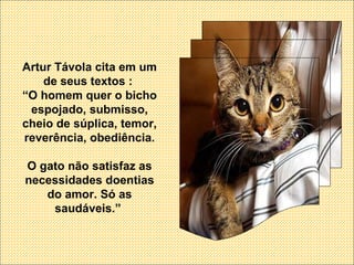 Artur Távola cita em um de seus textos :  “ O homem quer o bicho espojado, submisso, cheio de súplica, temor, reverência, obediência. O gato não satisfaz as necessidades doentias do amor. Só as saudáveis.”  